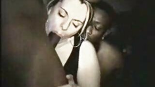 Video Sexual Voyage (Averi Brooks) - 2022-02-19 12:31:40